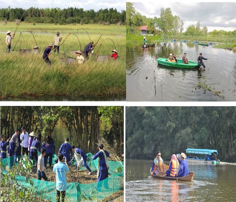 Khám phá du lịch mùa nước nổi tại Đồng Tháp vào dịp lễ 2/9 