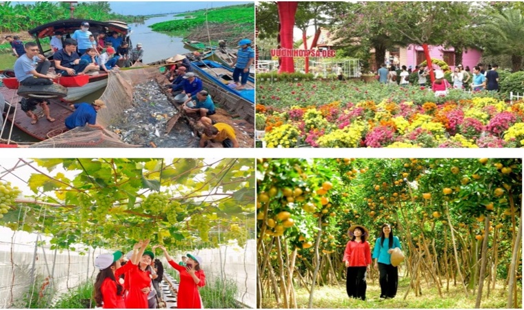 Chính sách hỗ trợ đầu tư phát triển du lịch -  đòn bẩy phát triển  du lịch nông nghiệp của Đồng Tháp