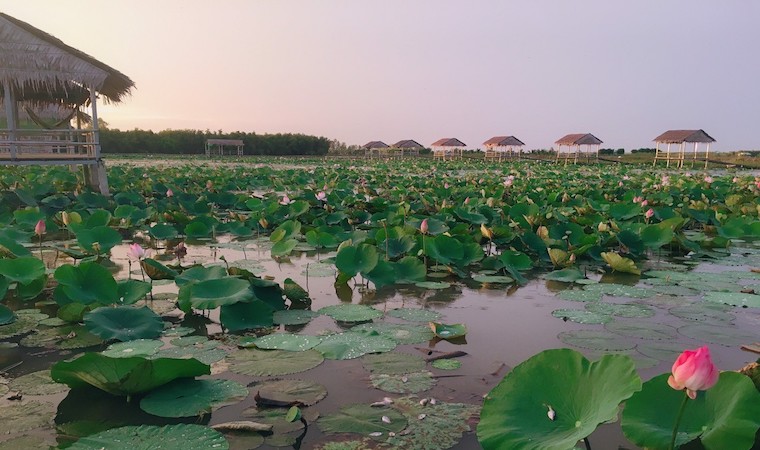 Bộ VHTTDL ban hành Thông tư sửa đổi, bổ sung một số điều của Thông tư 06/2017/TT-BVHTTDL quy định chi tiết một số điều của Luật Du lịch