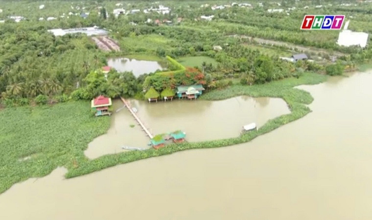 Vi vu huyện Lấp Vò