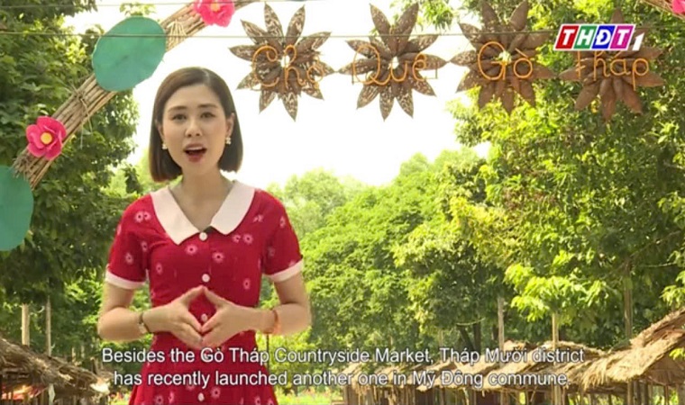 Về với sen quê Tháp Mười