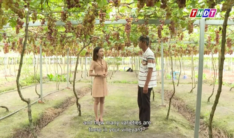 Một ngày ở Cao Lãnh