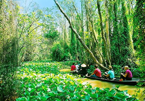 Năm 2019, du lịch Đồng Tháp đạt doanh thu 1.050 tỷ đồng