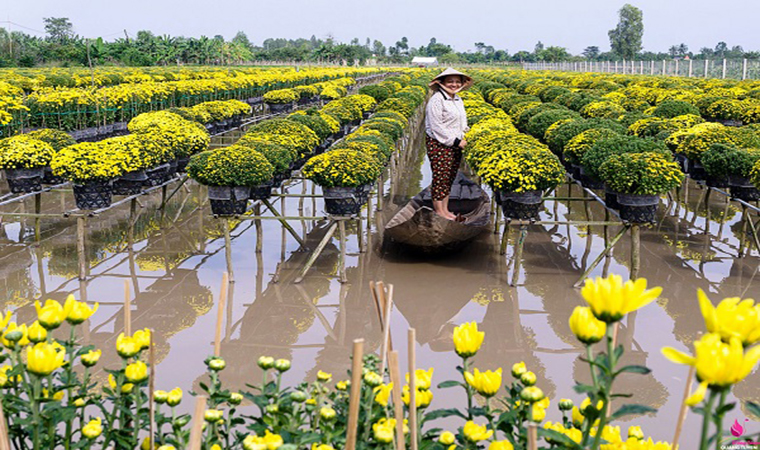 Tuần lễ Văn hóa Du lịch Đồng Tháp tổ chức từ ngày 22-27/01/2021