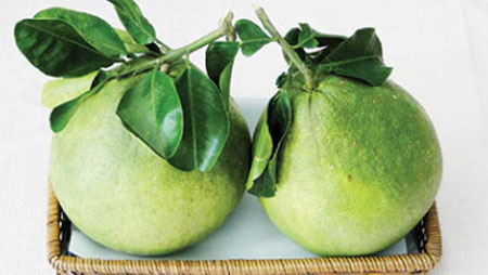 Bưởi lông Cổ Cò