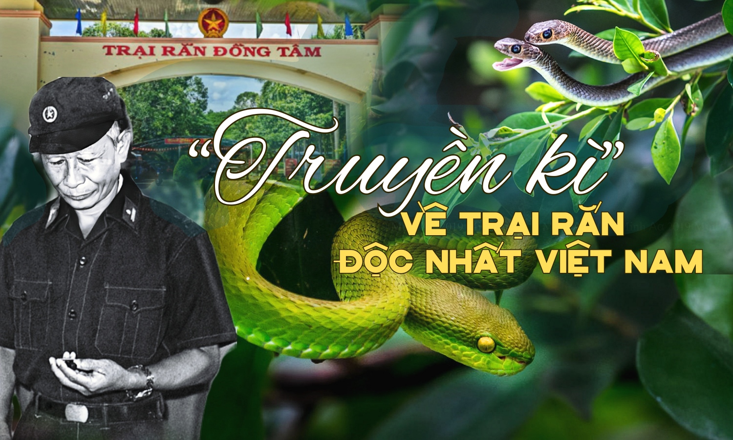 Truyền kì về trại rắn độc nhất Việt Nam