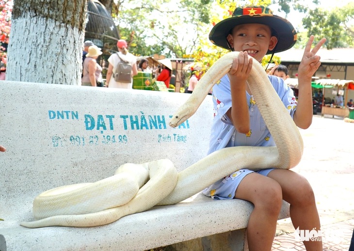 Trại rắn Đồng Tâm trở thành điểm du lịch tiềm năng 5 sao