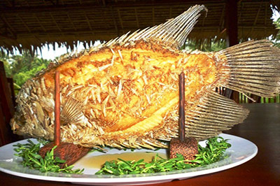 CÁ TAI TƯỢNG CHIÊN XÙ